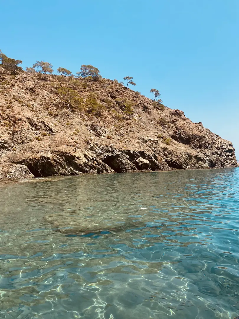 Olympos doğa camping — Antalya — küçük resim 5