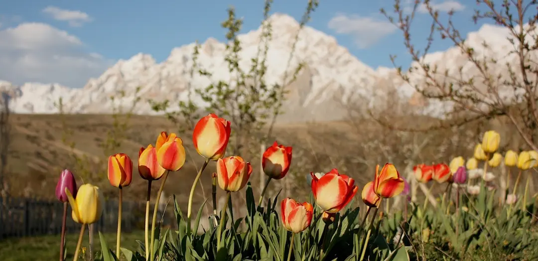 Aladağlar Camping Bungalow Climber’s House — Niğde — küçük resim 5