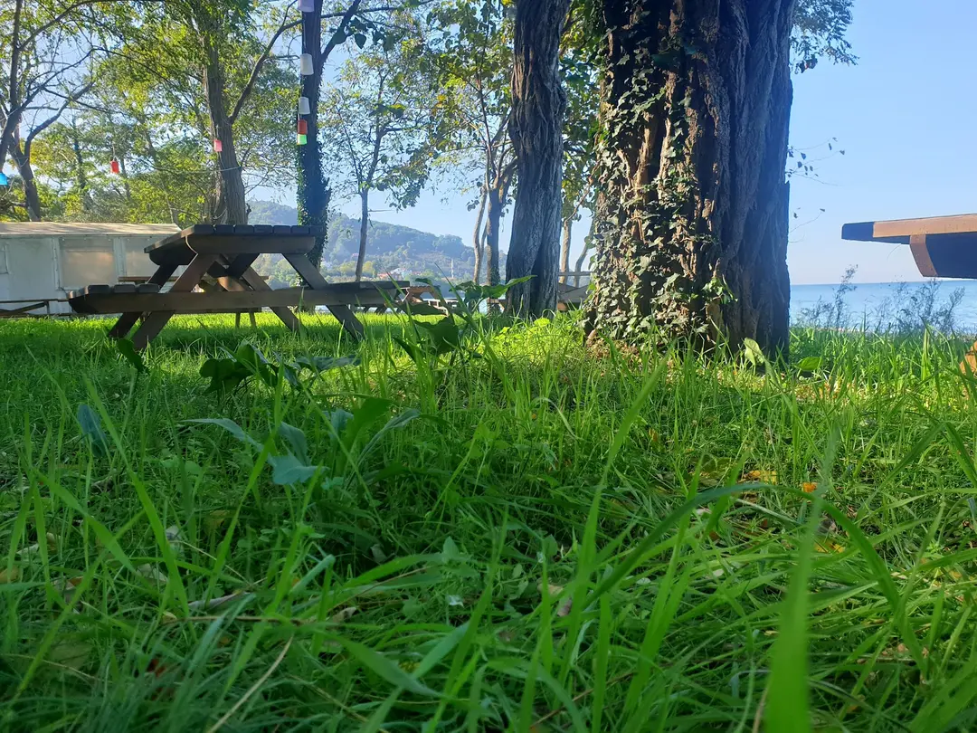 MASAL KAMP YAKUP'UN YER — Ordu — küçük resim 5