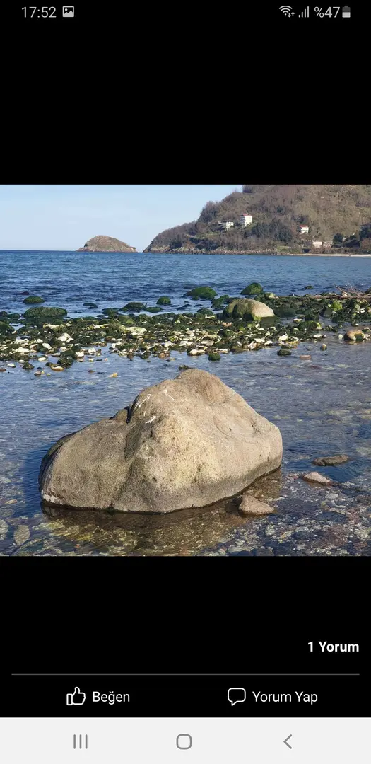 MASAL KAMP YAKUP'UN YER — Ordu — fotoğraf 1