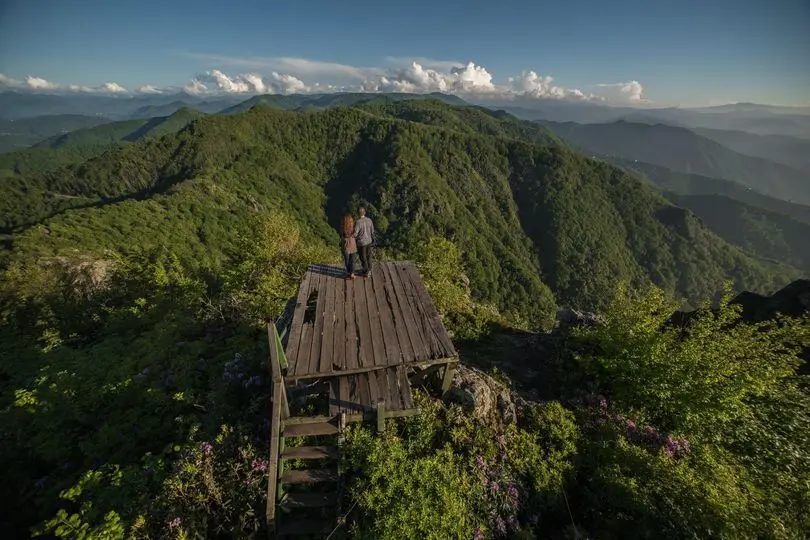 Yoroz City Forest — Ordu — küçük resim 3
