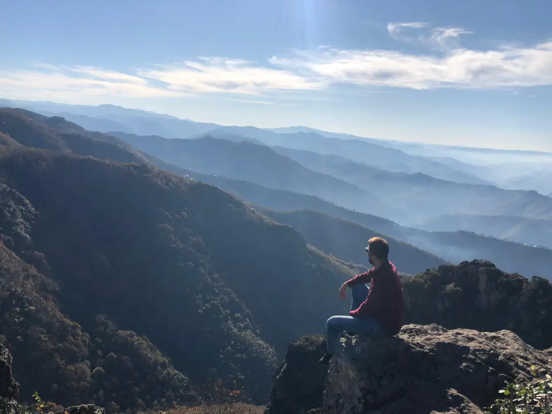 Yoroz City Forest — Ordu — küçük resim 5