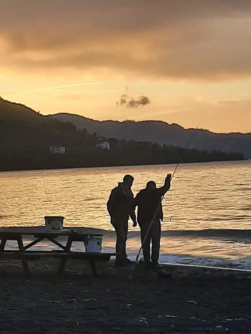 Varill kamp — Ordu — küçük resim 7