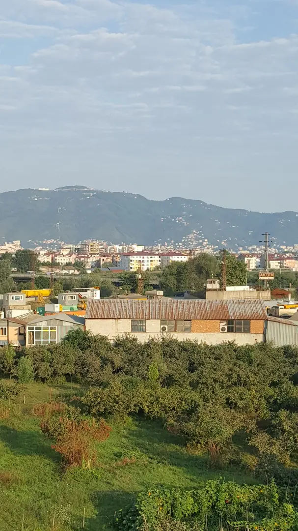 Grønne Område — Ordu — küçük resim 2
