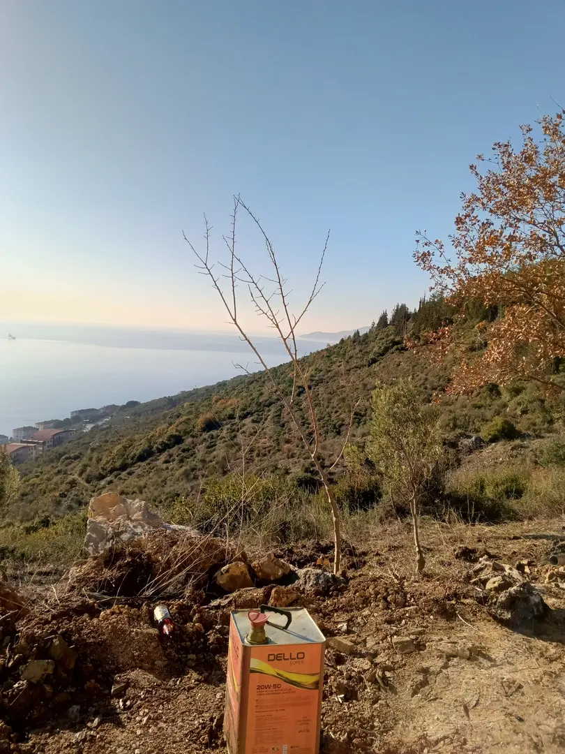 Mevsimlik işçi kampı