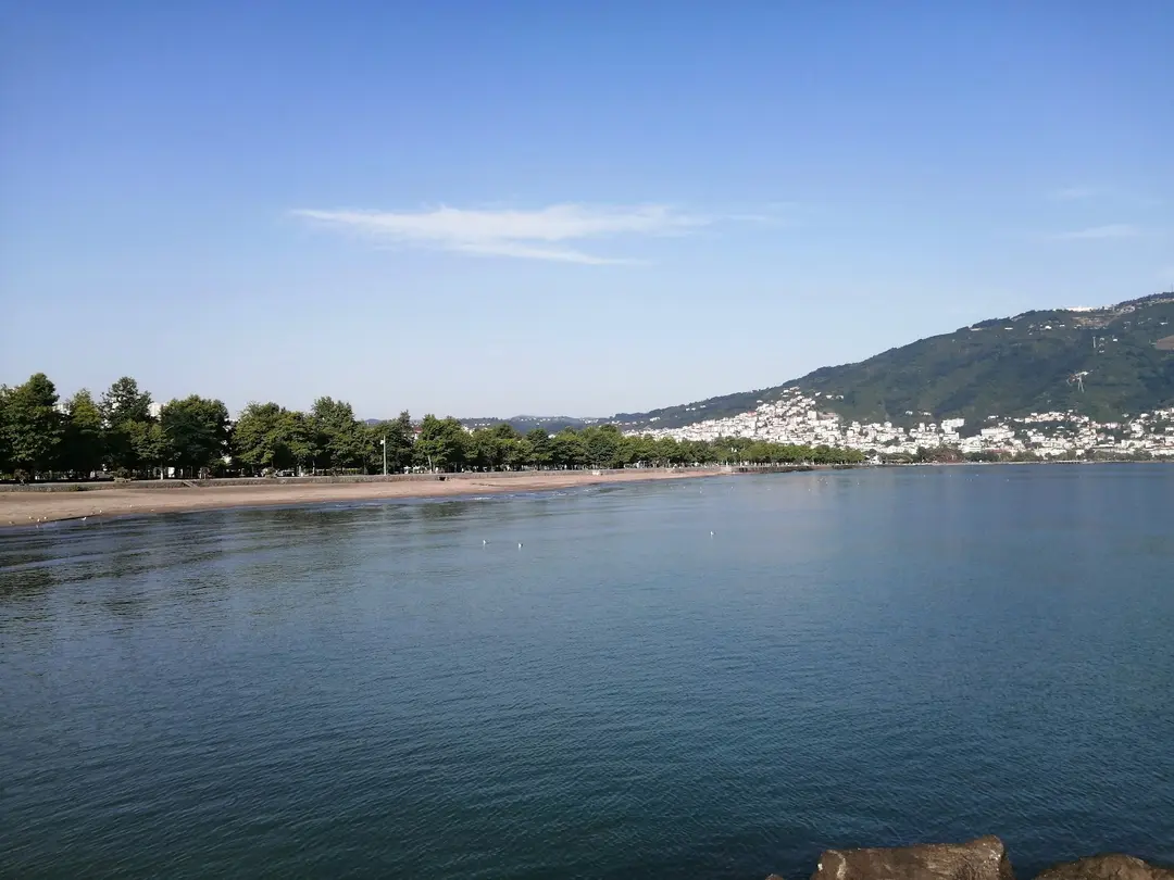 Sahil Çamlık Picnicområde — Ordu — küçük resim 5