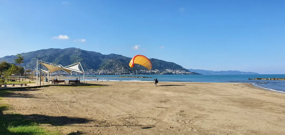 Sahil Çamlık Picnicområde — Ordu — küçük resim 6