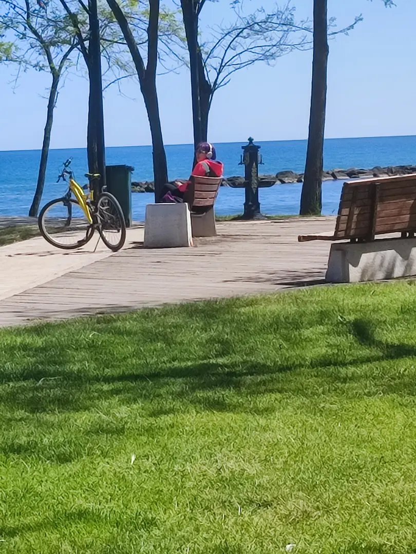 Sahil Çamlık Picnicområde — Ordu — küçük resim 4
