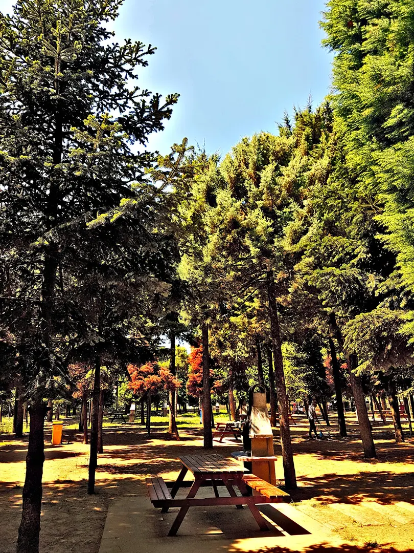 Hatıra Koruluğu