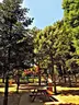 Hatıra Koruluğu