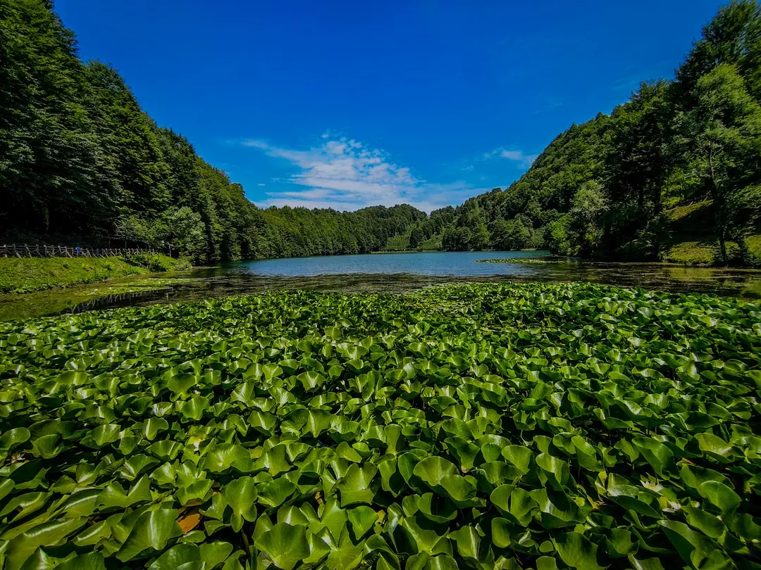 Ulugöl Naturpark — Ordu — küçük resim 9