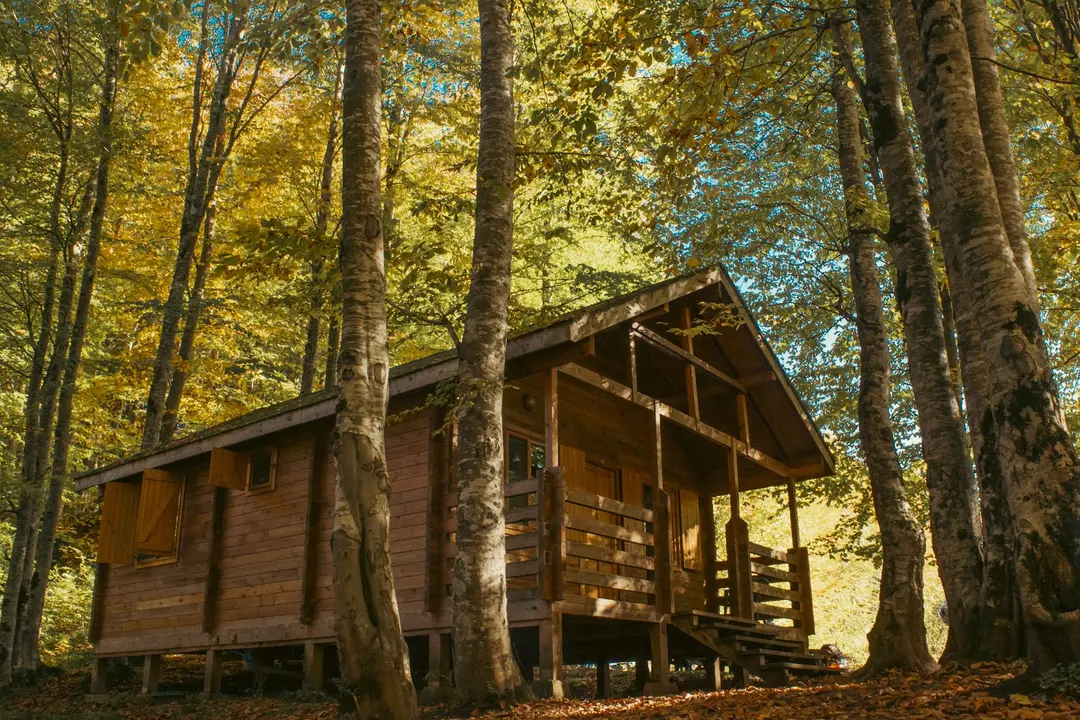 Ulugöl Naturpark — Ordu — küçük resim 5