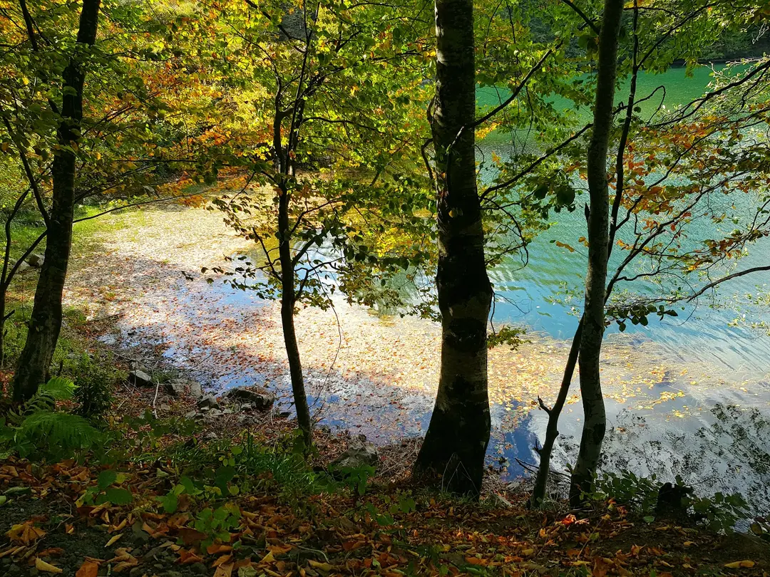 Ulugöl Naturpark — Ordu — küçük resim 6