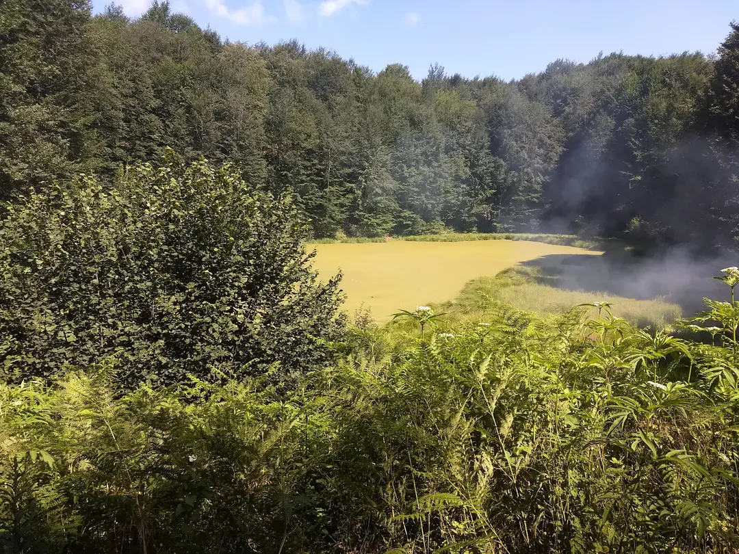 Ulugöl Naturpark — Ordu — küçük resim 4