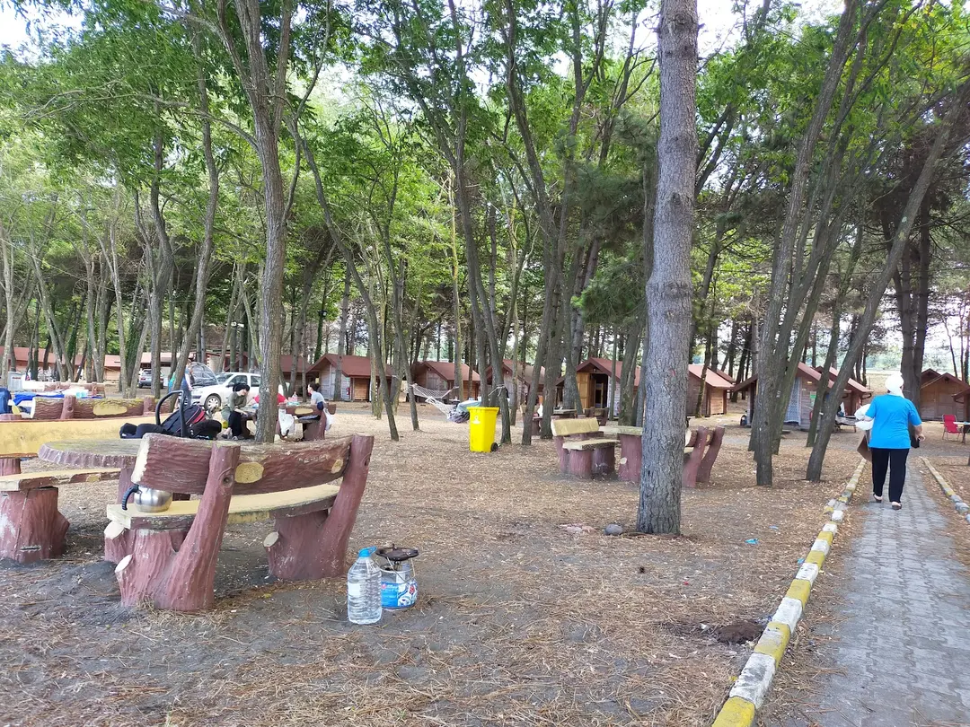 ORTUR Çınarsuyu Nature Park and Social Facilities — Ordu — küçük resim 9