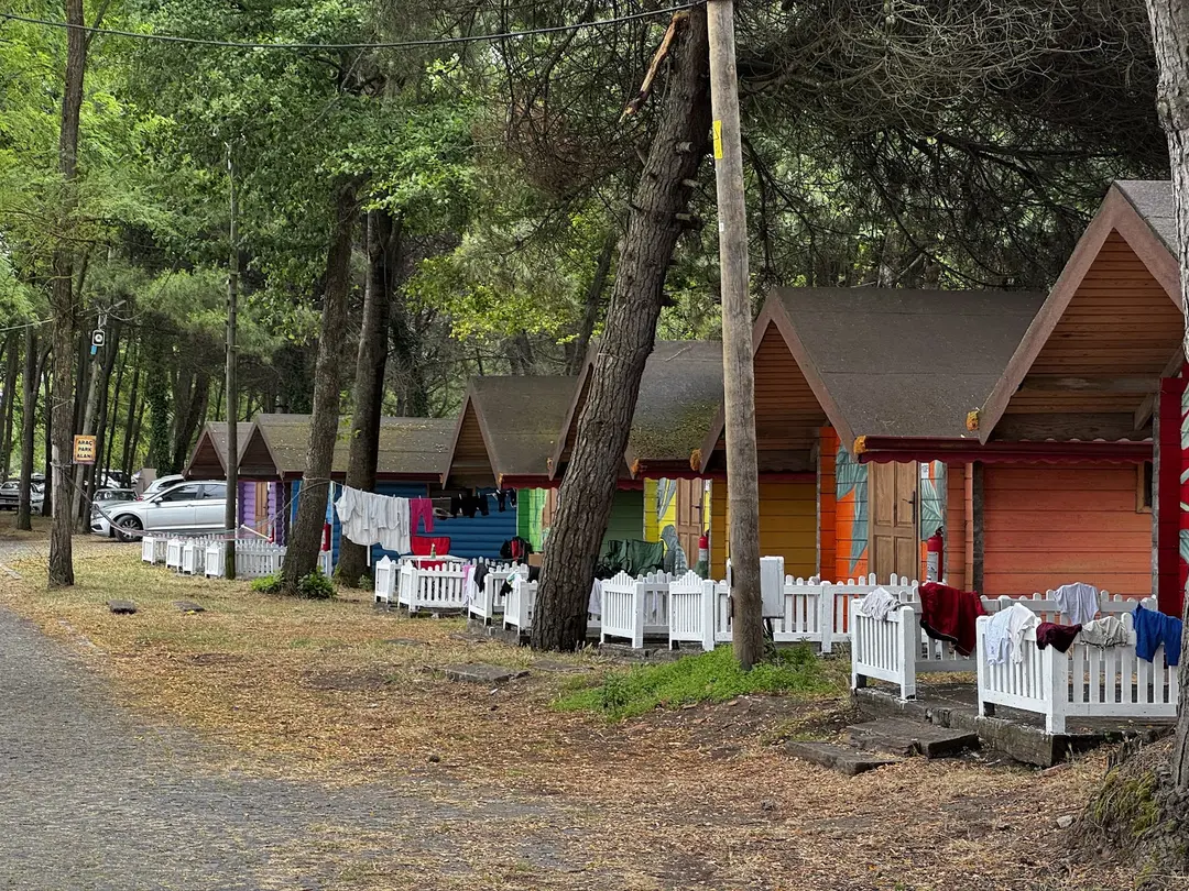 ORTUR Çınarsuyu Nature Park and Social Facilities — Ordu — küçük resim 8