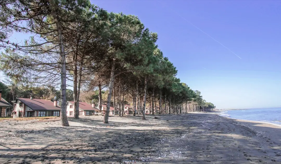 ORTUR Çınarsuyu Nature Park and Social Facilities — Ordu — küçük resim 5