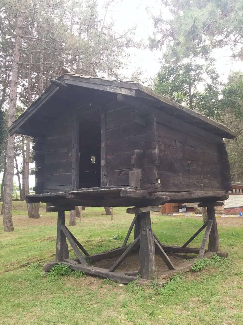 ORTUR Çınarsuyu Nature Park and Social Facilities — Ordu — küçük resim 10
