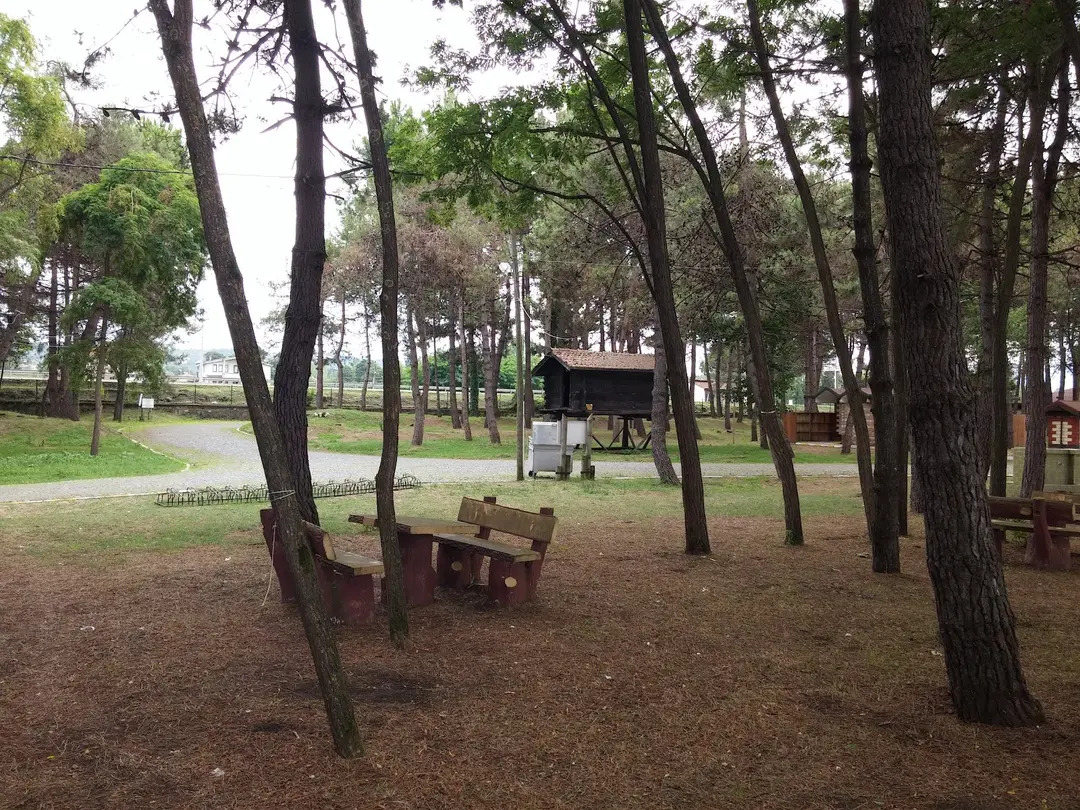 ORTUR Çınarsuyu Tabiat Parkı ve Sosyal Tesisleri