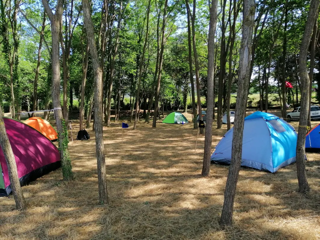 ORTUR Çınarsuyu Nature Park and Social Facilities — Ordu — küçük resim 7