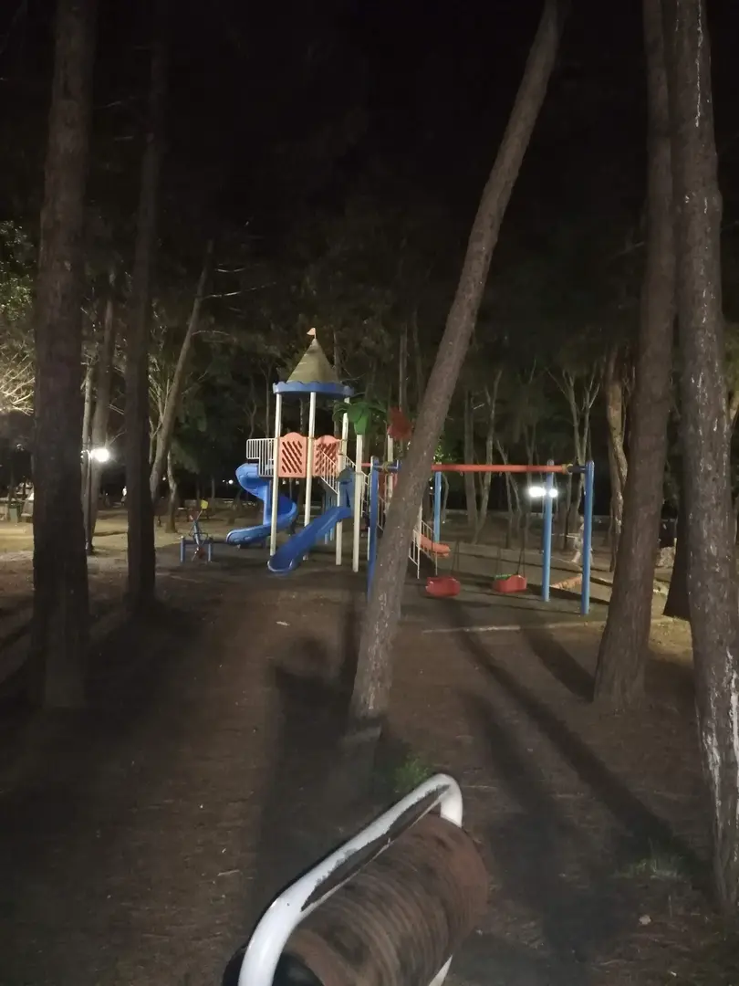 Fatsa Belediyesi Çamlık Tesisleri — Ordu — küçük resim 7