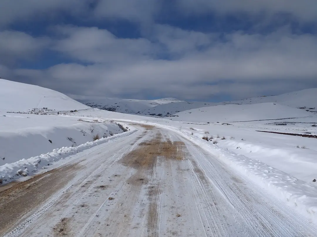 Perşembe Yaylası — Ordu — küçük resim 3