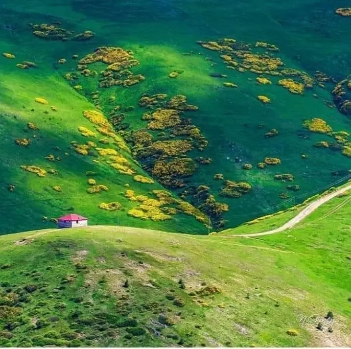 Çambaşı Yaylası — Ordu — küçük resim 9