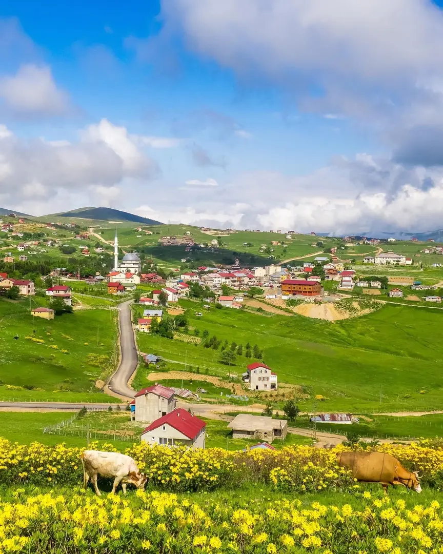 Çambaşı Yaylası — Ordu — küçük resim 2