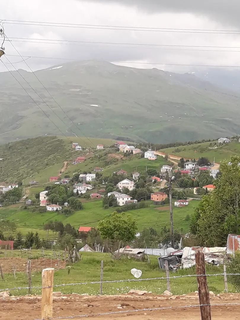 Çambaşı Yaylası — Ordu — küçük resim 6