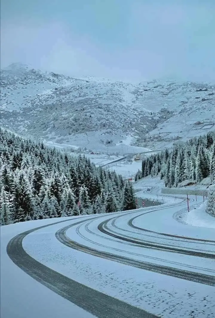 Çambaşı Yaylası — Ordu — küçük resim 5