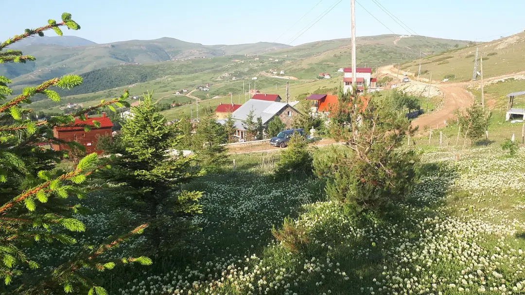 Çambaşı Yaylası — Ordu — küçük resim 3