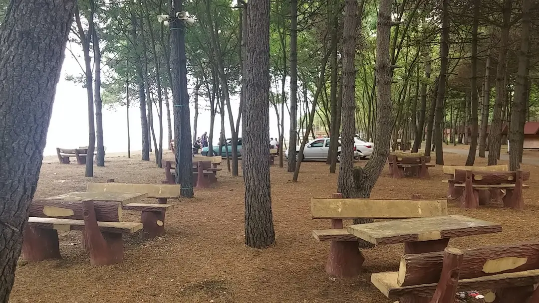 Yunus Emre Kurtuluş Parkı — Ordu — küçük resim 3