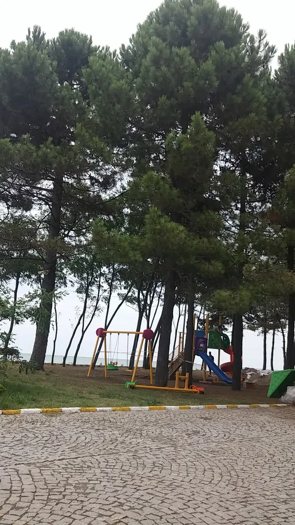 Yunus Emre Kurtuluş Parkı — Ordu — küçük resim 8