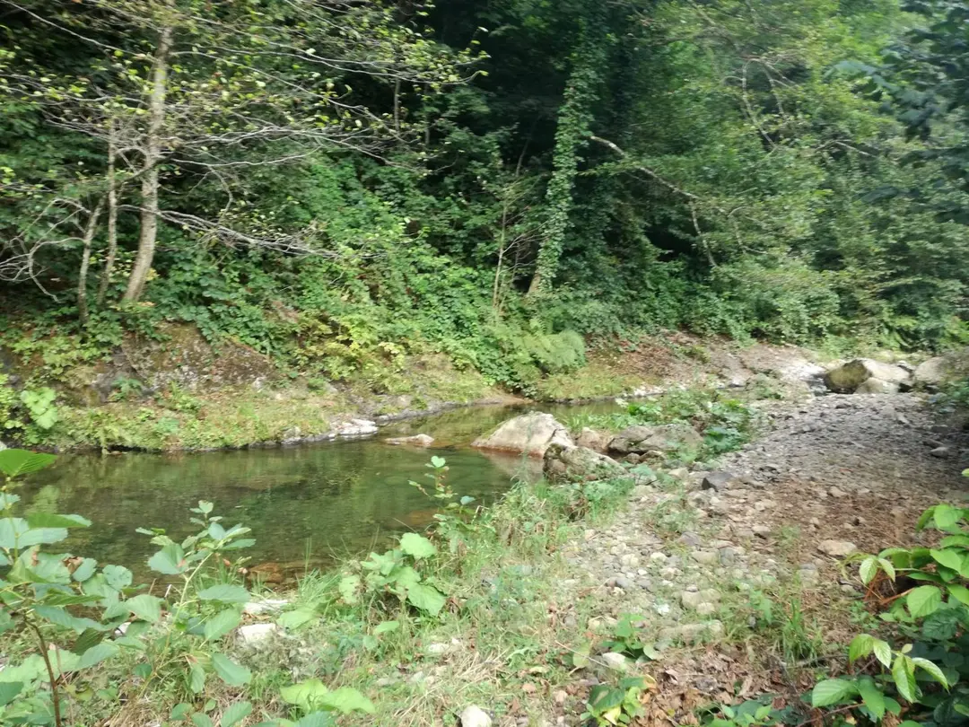 Sayacabaşı National Park — Ordu — küçük resim 5