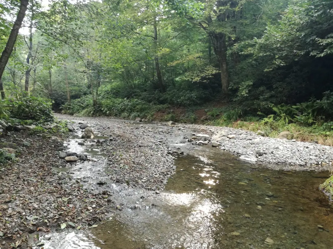 Sayacabaşı National Park — Ordu — küçük resim 8