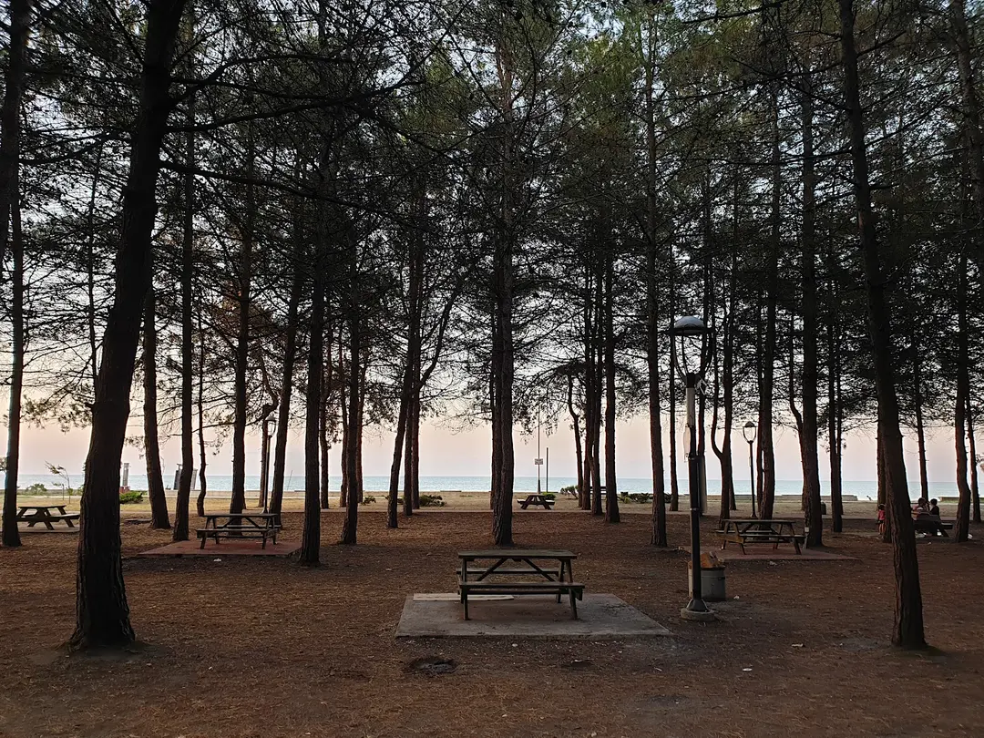 Miliç Tesisleri — Samsun — küçük resim 7
