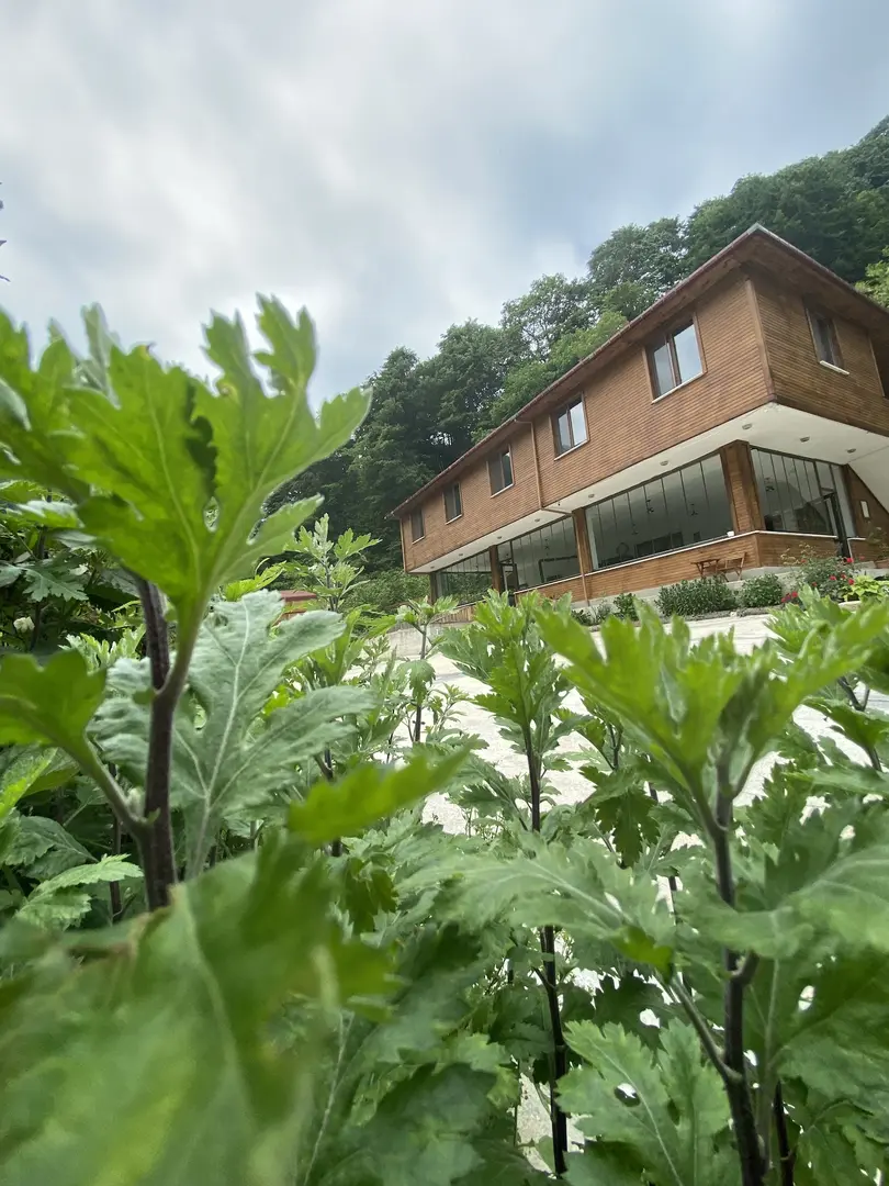 Ohtamış Waterfall Bayrak Facilities — Ordu — küçük resim 7