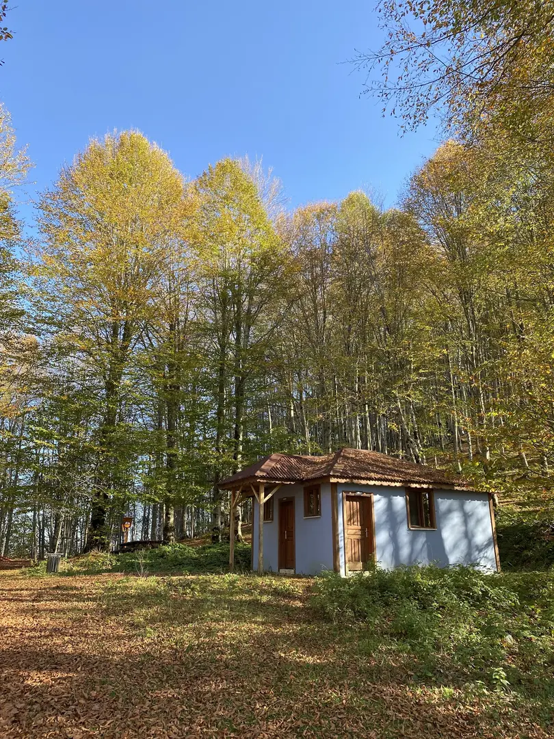 Kabaktepe Mesire Yeri — Ordu — küçük resim 10