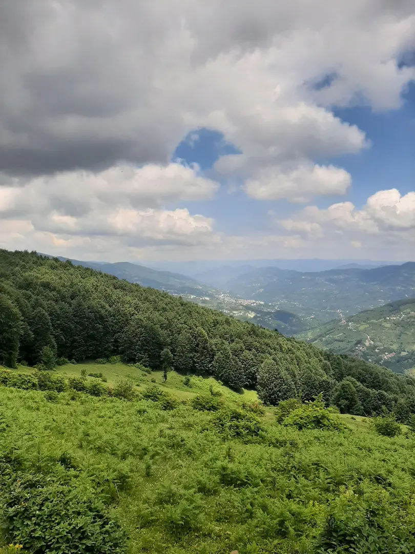 Kabaktepe Mesire Yeri — Ordu — küçük resim 8