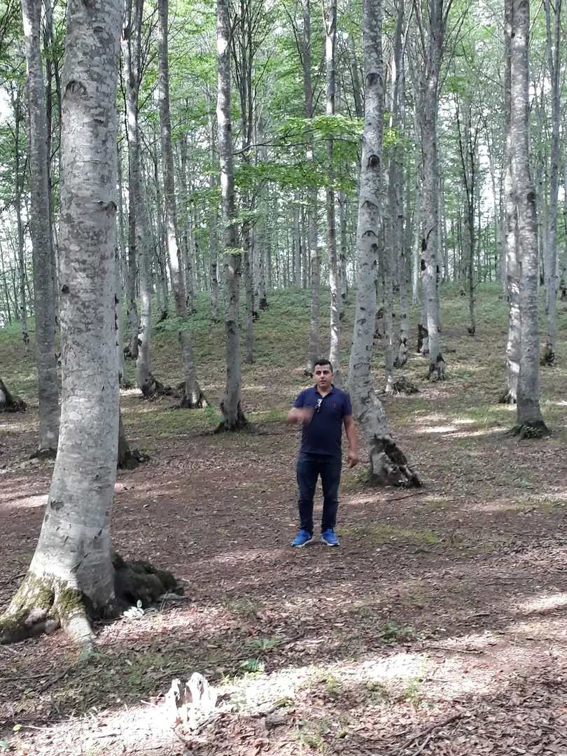 Kabaktepe Mesire Yeri — Ordu — küçük resim 6