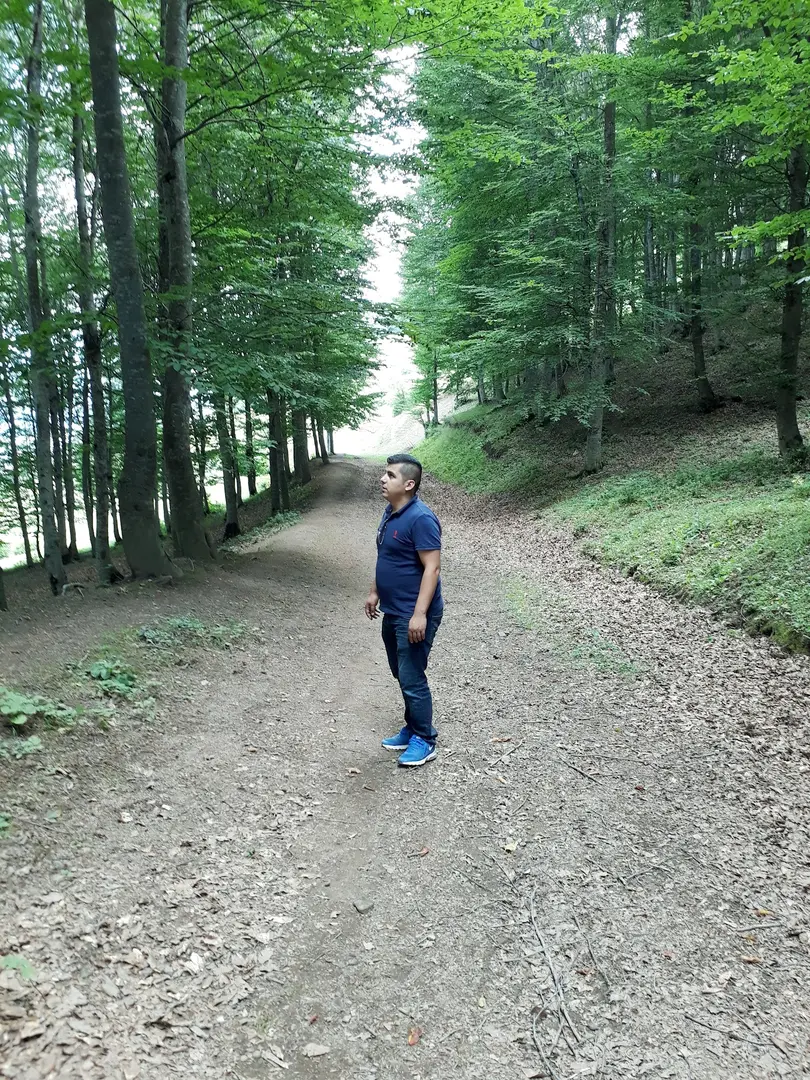 Kabaktepe Mesire Yeri — Ordu — küçük resim 7