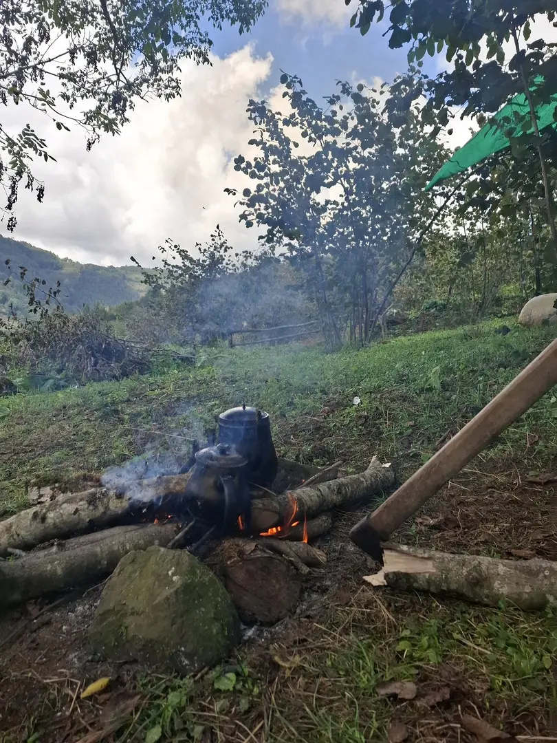 Kelsaitler Hıdırcık — Ordu — küçük resim 7
