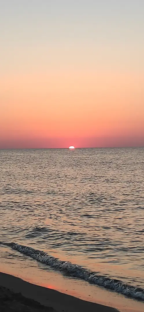 Ristorante Campeggio e Spiaggia Uzunkum — Ordu — küçük resim 4