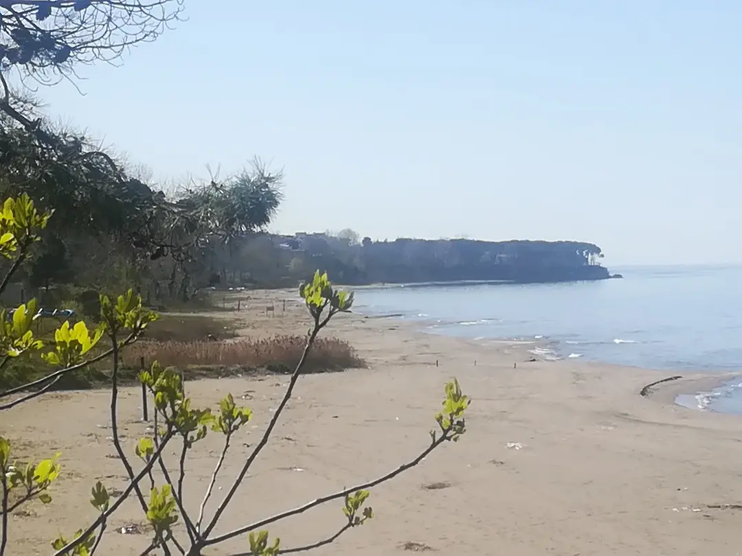 Ristorante Campeggio e Spiaggia Uzunkum — Ordu — küçük resim 5