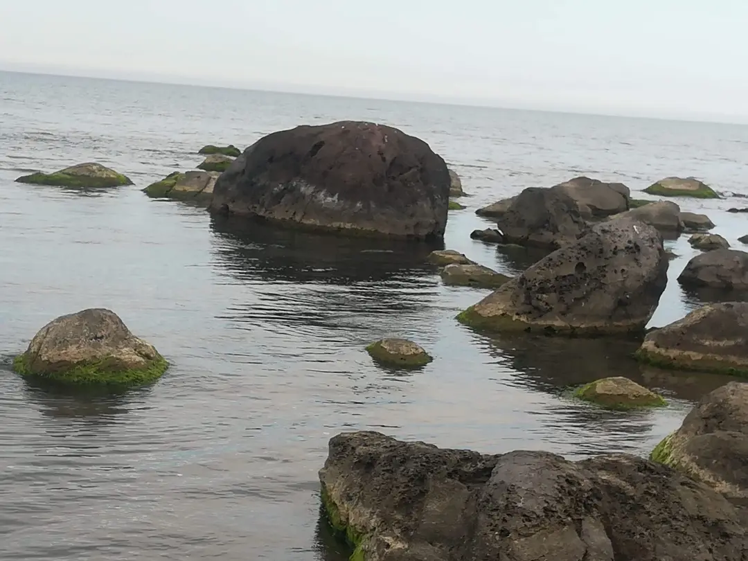 Ristorante Campeggio e Spiaggia Uzunkum — Ordu — küçük resim 6