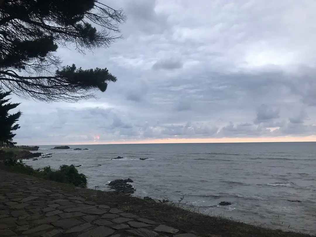 Çamlık Piknik ve Mesire Alanı — Ordu — küçük resim 3