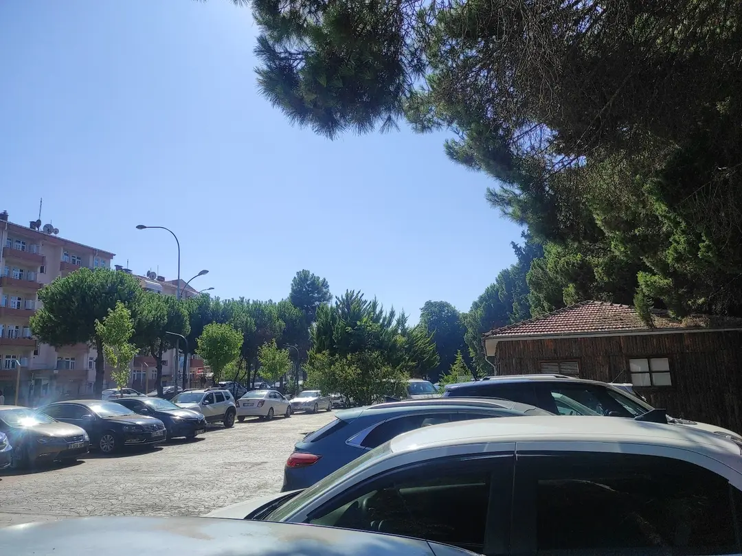 Çamlık Piknik ve Mesire Alanı — Ordu — küçük resim 8