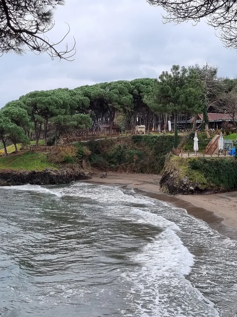Çamlık Piknik ve Mesire Alanı — Ordu — küçük resim 2