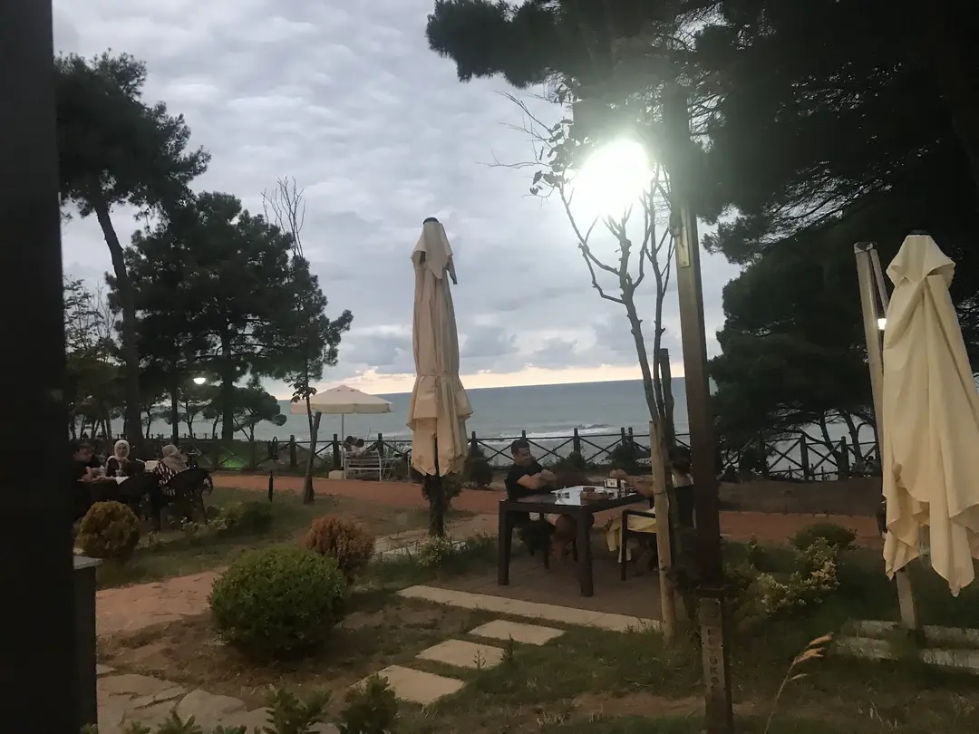 Çamlık Piknik ve Mesire Alanı — Ordu — küçük resim 9