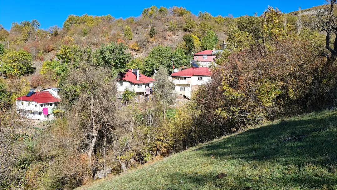 Foruhculu — Ordu — küçük resim 2
